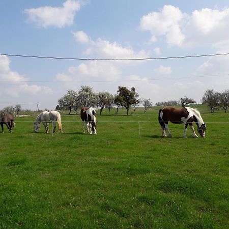 Gite La Besse, Claudon Kültér fotó