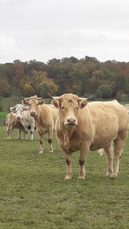 Gite La Besse, Claudon Kültér fotó