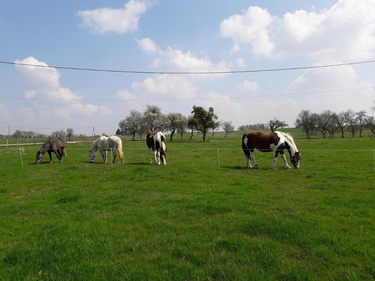 Gite La Besse, Claudon Kültér fotó