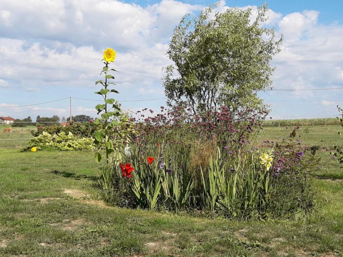 Gite La Besse, Claudon Kültér fotó